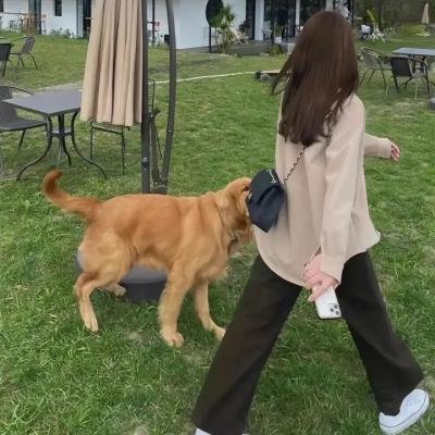 小妈妈